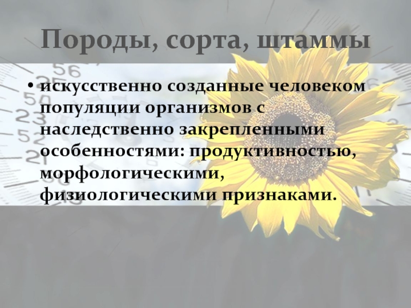 Признаки сортов. Сорт порода штамм. Популяция организмов, искусственно созданная человеком. Популяция растений искусственно созданная человеком. Как называется искусственно созданная популяция растений *.