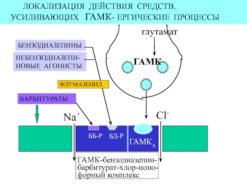 Механизм действия транквилизаторов схема