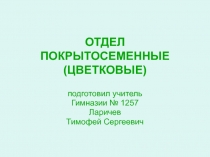 ОТДЕЛ ПОКРЫТОСЕМЕННЫЕ (ЦВЕТКОВЫЕ)