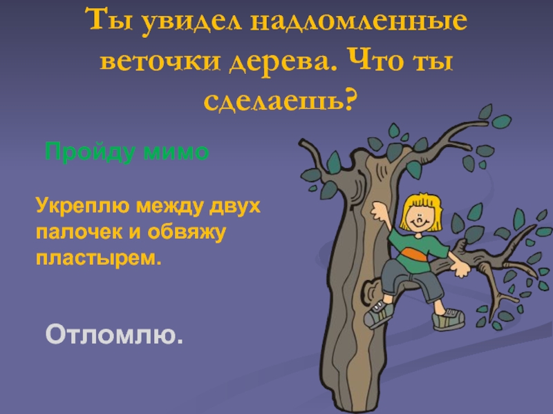 Сделай проходи. Пословица веточка от деревца. Зовите дерево веточку которого принес. Вы проходите мимо дерева. Ответ на задачу ты увидел Надломленные веточки дерева что ты делаешь ?.