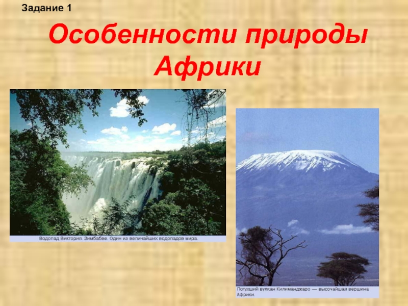 Особенности природы африки. Характеристика природы Африки. Природные особенности Африки. Специфика природы Африки.