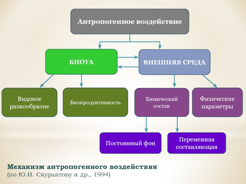 Карта антропогенной нагрузки