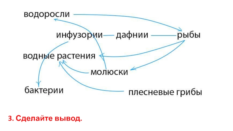 Определите какие организмы живут в аквариуме