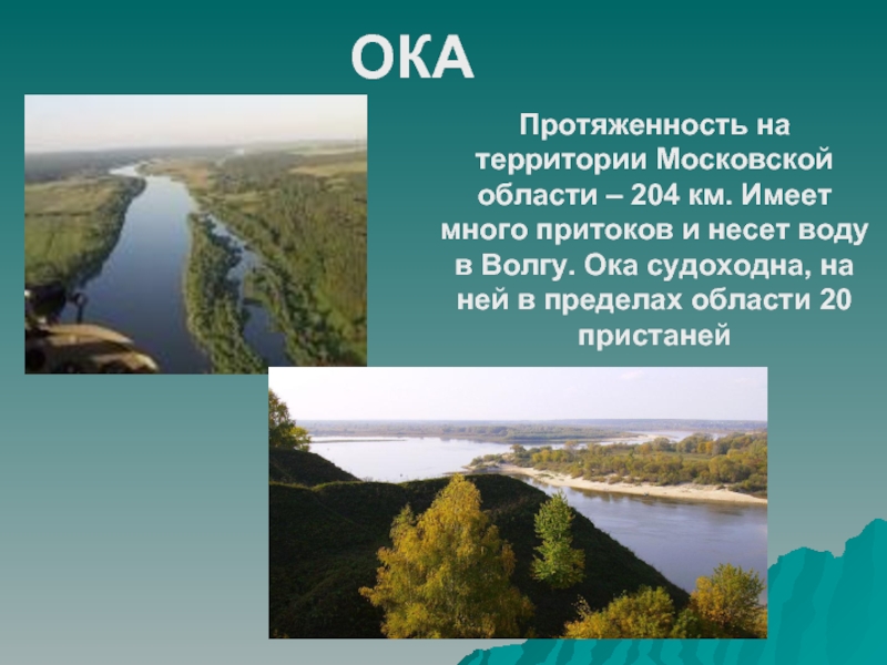 ОКАПротяженность на территории Московской области – 204 км. Имеет много притоков и несет воду в Волгу. Ока