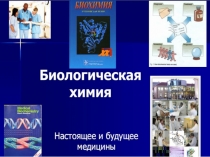 Белки