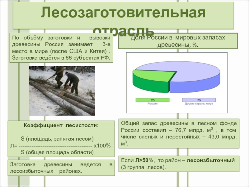 Доля России в мировых запасах древесины, %.Общий запас древесины в лесном фонде России составил – 76,7 млрд.
