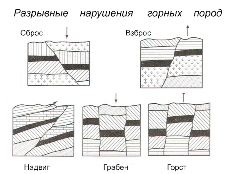 Описать формы складчатых и разрывных нарушений и сопроводить описание схематическим рисунком