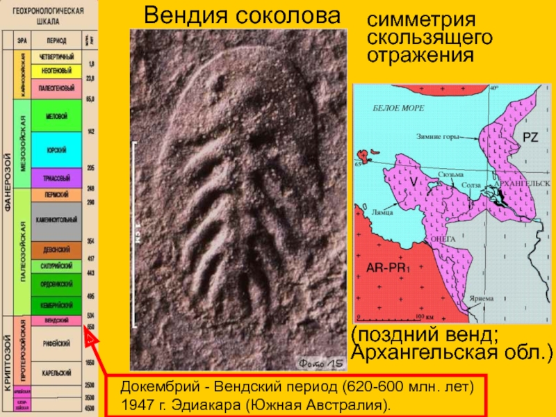 Вендский период презентация