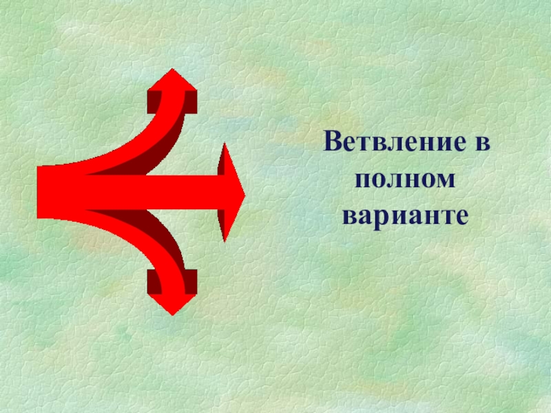 Полный вариант. Ветвление в полном варианте. Ребус ветвление. Цель программы нарисованные. В неполном объеме.