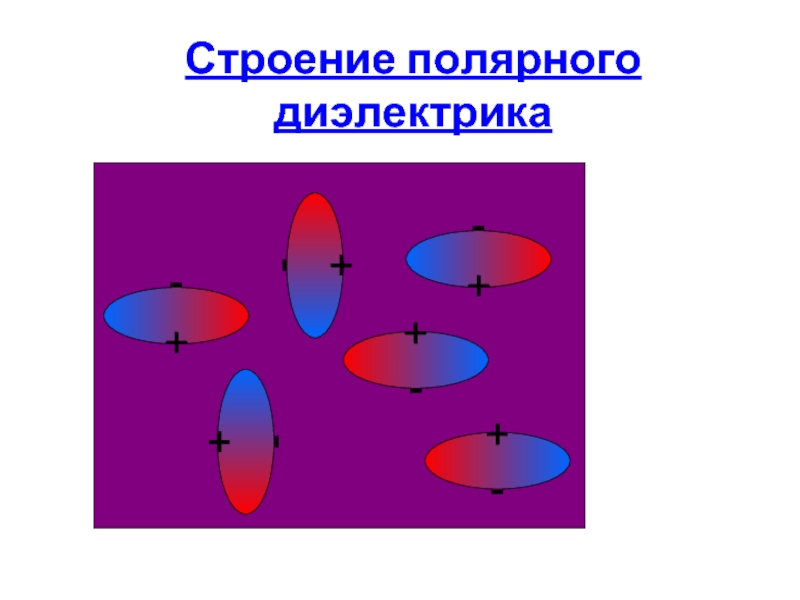 Полярное строение