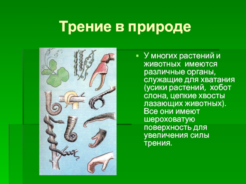 Проект трение в жизни человека