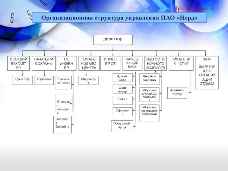 Схема организационной структуры авиакомпании