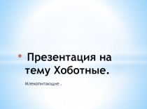 Хоботные