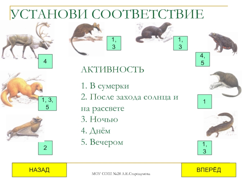 Животные красной книги кировской области фото и описание