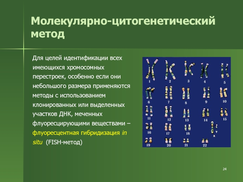 Цитогенетический метод картинки для презентации