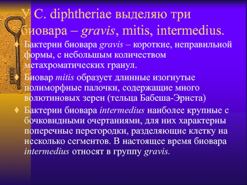 Биовар это. Биовар бактерии:. Биовар MITIS. Бактерии биовара intermedius. Биовар Гравис Митис Интермедиус.