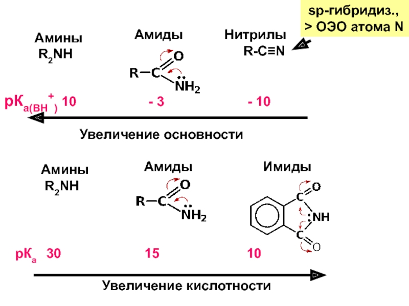 Ряд основности аминов. Амины и амиды. Основность Аминов.