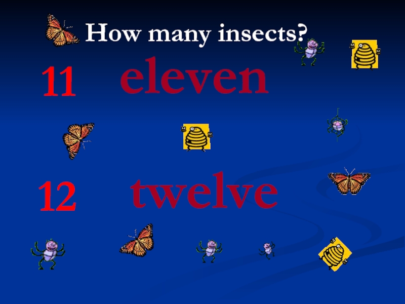 11eleven12twelveHow many insects?