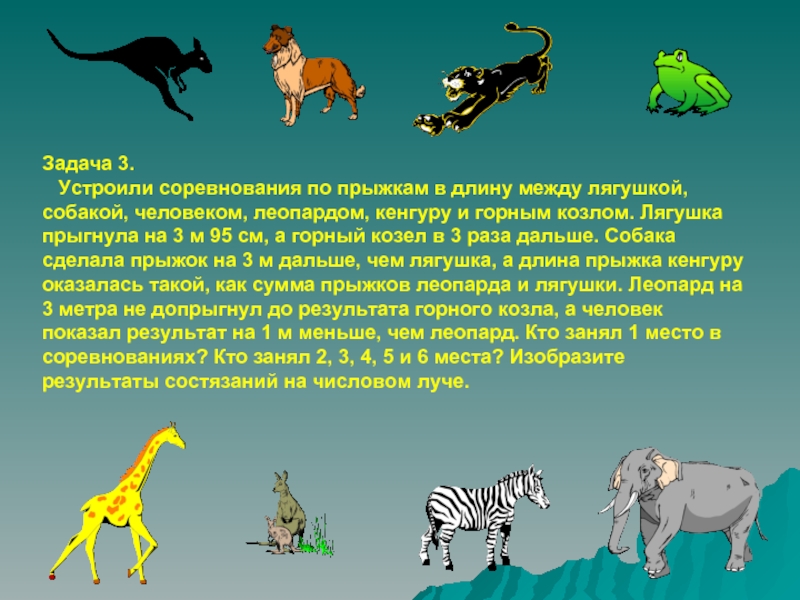 Задача 3.  Устроили соревнования по прыжкам в длину между лягушкой, собакой, человеком, леопардом, кенгуру и горным
