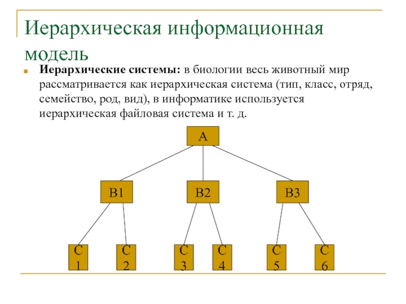 Иерархическая система деятельности. Примеры иерархии в информатике. Иерархическая модель информационной системы. Иерархическая модель это в информатике.