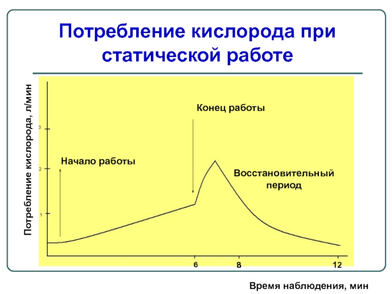 Потребность кислорода. Потребление кислорода при статической работе.. Потребление кислорода при динамической работе. Графики динамики потребления кислорода. Динамика потребления кислорода при статической работе.