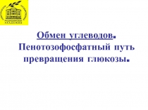 Глюконеогенез
