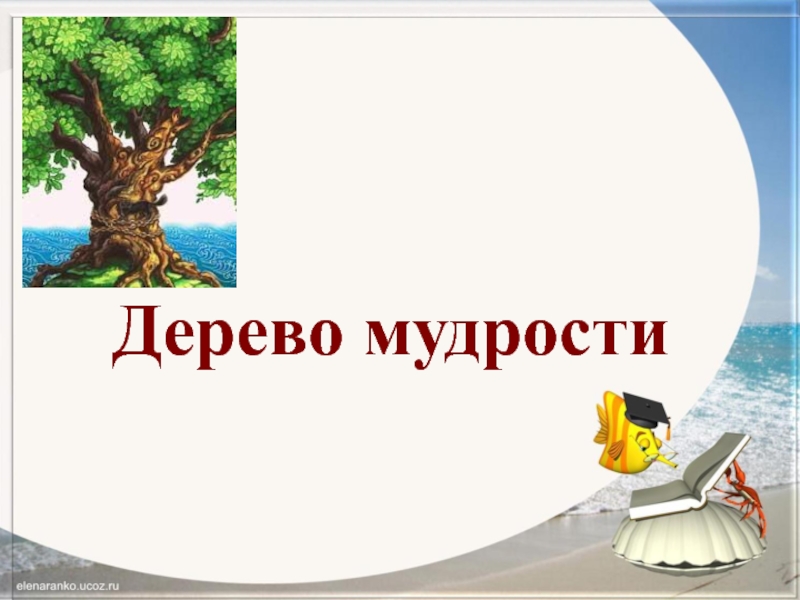 Путешествие по стране литературии 6 класса презентация