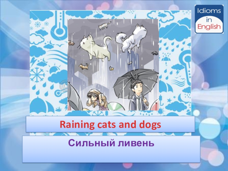 Raining cats and dogs. Rain Cats and Dogs идиома. Фразеологизм Rain Cats and Dogs. Weather idiom raining Cats and Dogs. Its raining Cats and Dogs idioms.