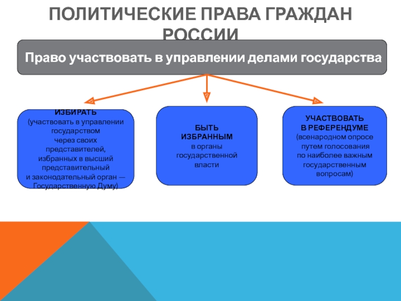 Составьте рассказ о роли политических прав в жизни общества используя следующий план