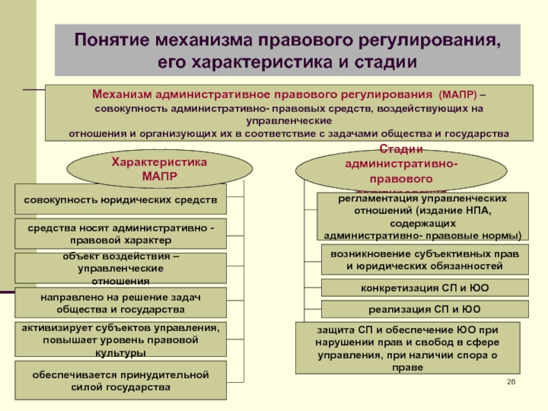 Административное правоотношение план