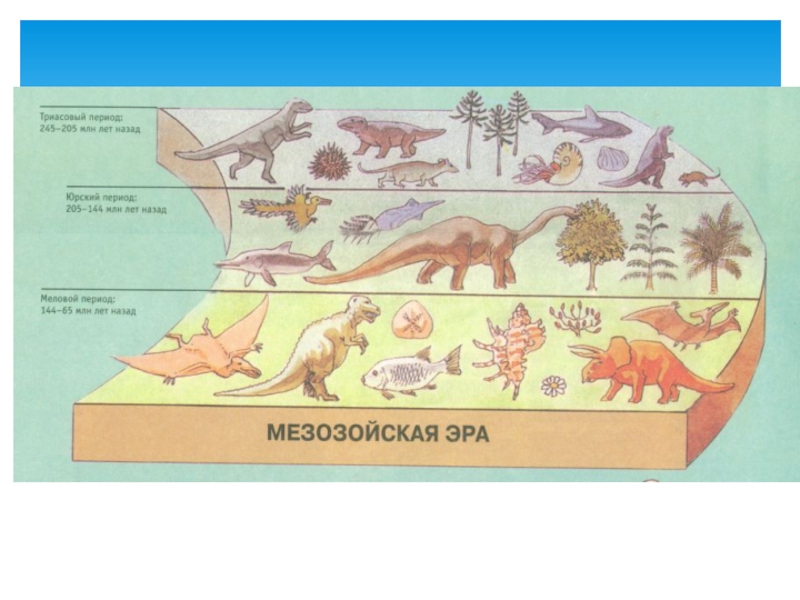 Геологический период динозавры. Периусы жизни динозавров. Периоды жизни динозавров. Эры динозавров и периоды. Динозавры периоды существования.