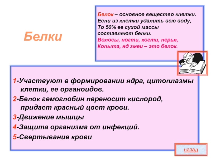 Входит в состав многих белков. Основное вещество клетки. Белковая составляющая волоса. Белки для волос ногтей.