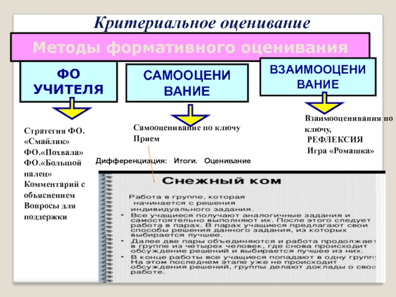 Темы занятий по естествознанию