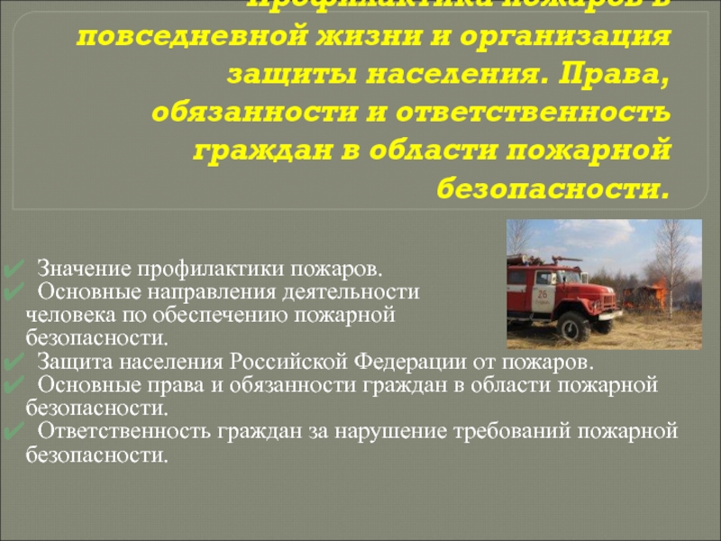 Реферат: Пожарная безопасность и профилактика пожаров
