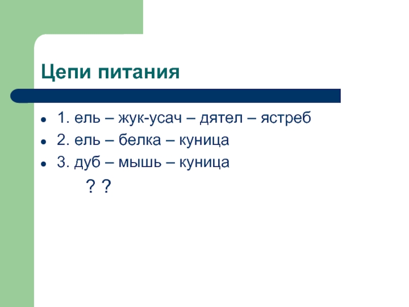 Цепь питания ели. Жук усач ястреб ель дятел цепь питания. Цепь питания с куницей. Ель белка куница цепь питания. Цепь питания с белкой.