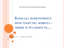 Блокада поперечного пространства живота - мифы и реальность…