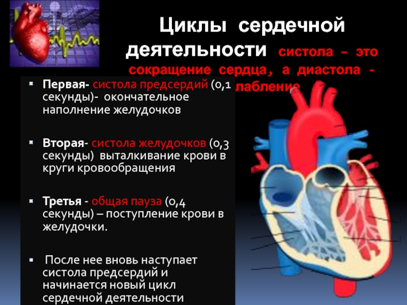 Систола левого предсердия. Сокращение сердца систола диастола. Цикл деятельности сердца. Сердечный цикл сердца. Одиночный цикл сокращения сердца.