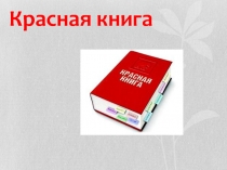 Растения красной книги