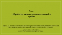 МДК.01.02. Процессы приготовления, подготовки к реализации полуфабрикатов для