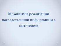 Механизмы реализации наследственной информации в онтогенезе