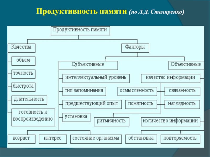 Механизмы познавательного процесса