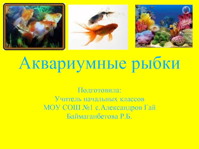 Презентация Аквариумные рыбки