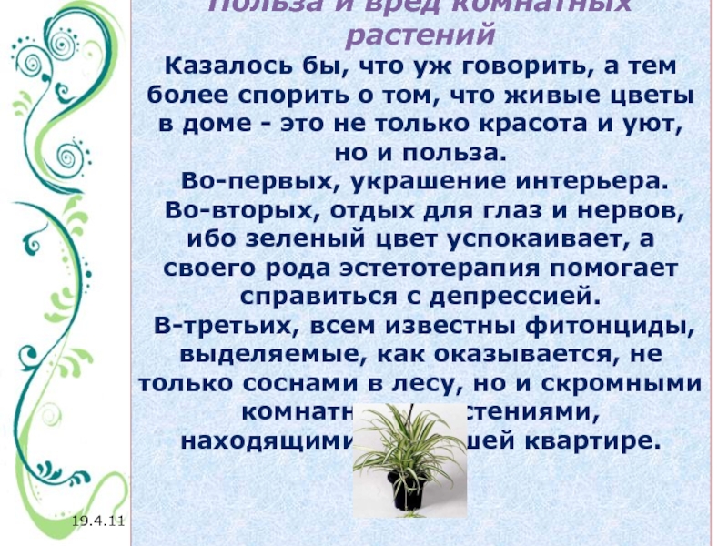 Вред и польза комнатных растений проект