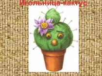 Игольница-кактус