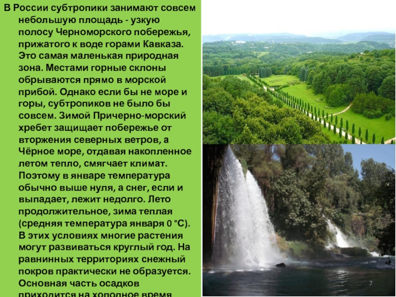 Описание субтропиков по плану география 8 класс