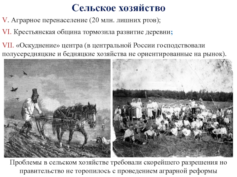 Положение сельского хозяйства. Аграрное перенаселение в России в 19 веке. Крестьянская община в России 20 века. Аграрное перенаселение в России. Крестьянская община формирование.