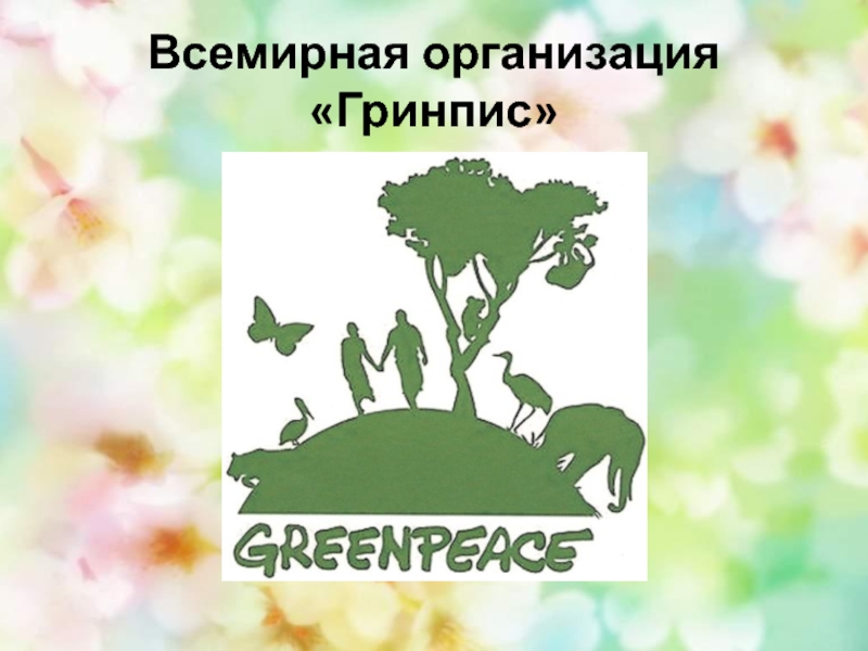 Экологическая организация презентация. Организация Гринпис. Экологическая организация Гринпис. День рождения Гринпис. День рождения экологической организации «Гринпис».