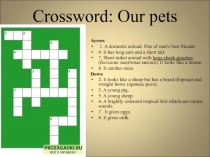 Crossword: Our pets 6 класс
