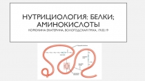 НУТРИЦИОЛОГИЯ: БЕЛКИ;АМИНОКИСЛОТЫ Корюкина екатерина, вологодская ГМХА, 19.03.19