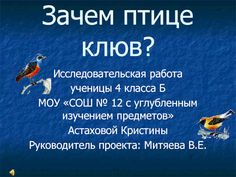 Зачем птице клюв?